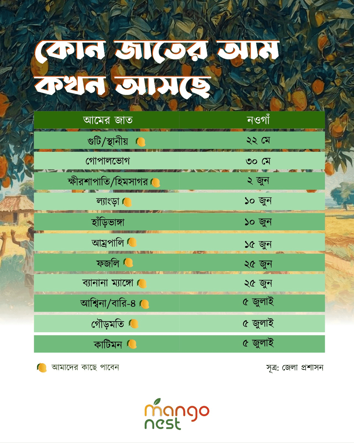 কোন জাতের আম কখন আসছে — Mango Nest ক্যালেন্ডার